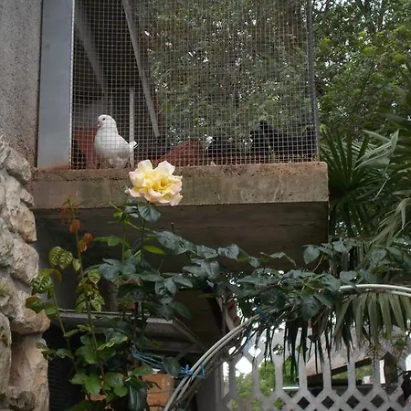 Apartamento Sara