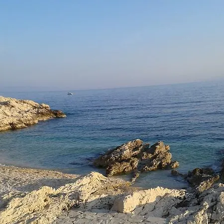 Sara לאבין
