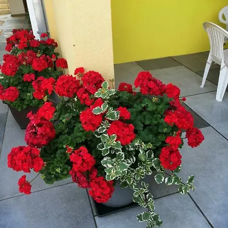 Apartamento Sara *