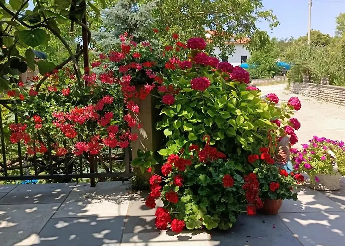 Lejlighed Sara Labin (Istria)