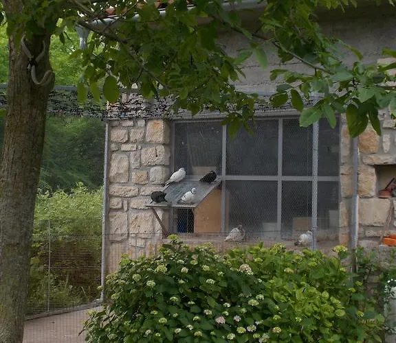 Lejlighed Sara Labin (Istria)