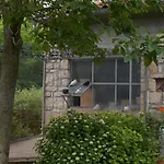 Apartment Sara Labin (Istria)