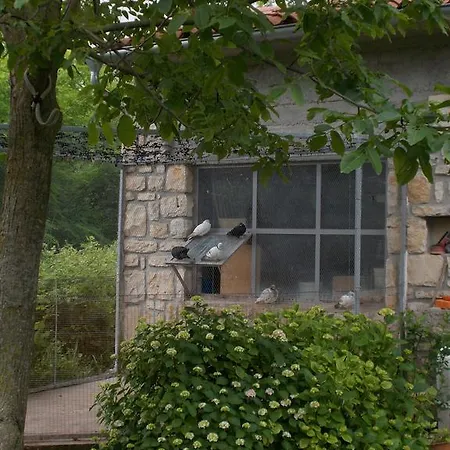 Apartment Sara Labin (Istria)